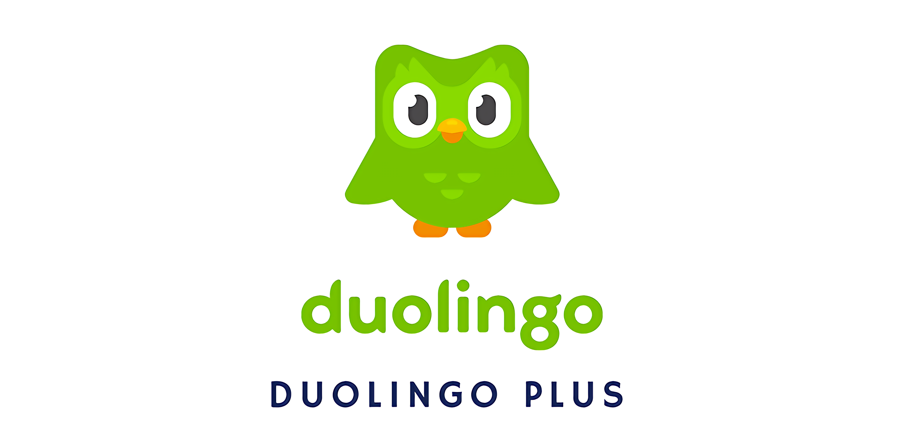 Duolingo Plus ACCOUNT – Artis Store