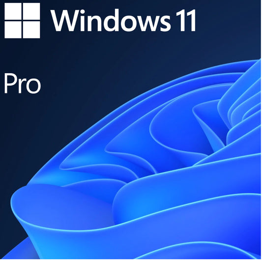 Windows 11 Pro UPGRADE
